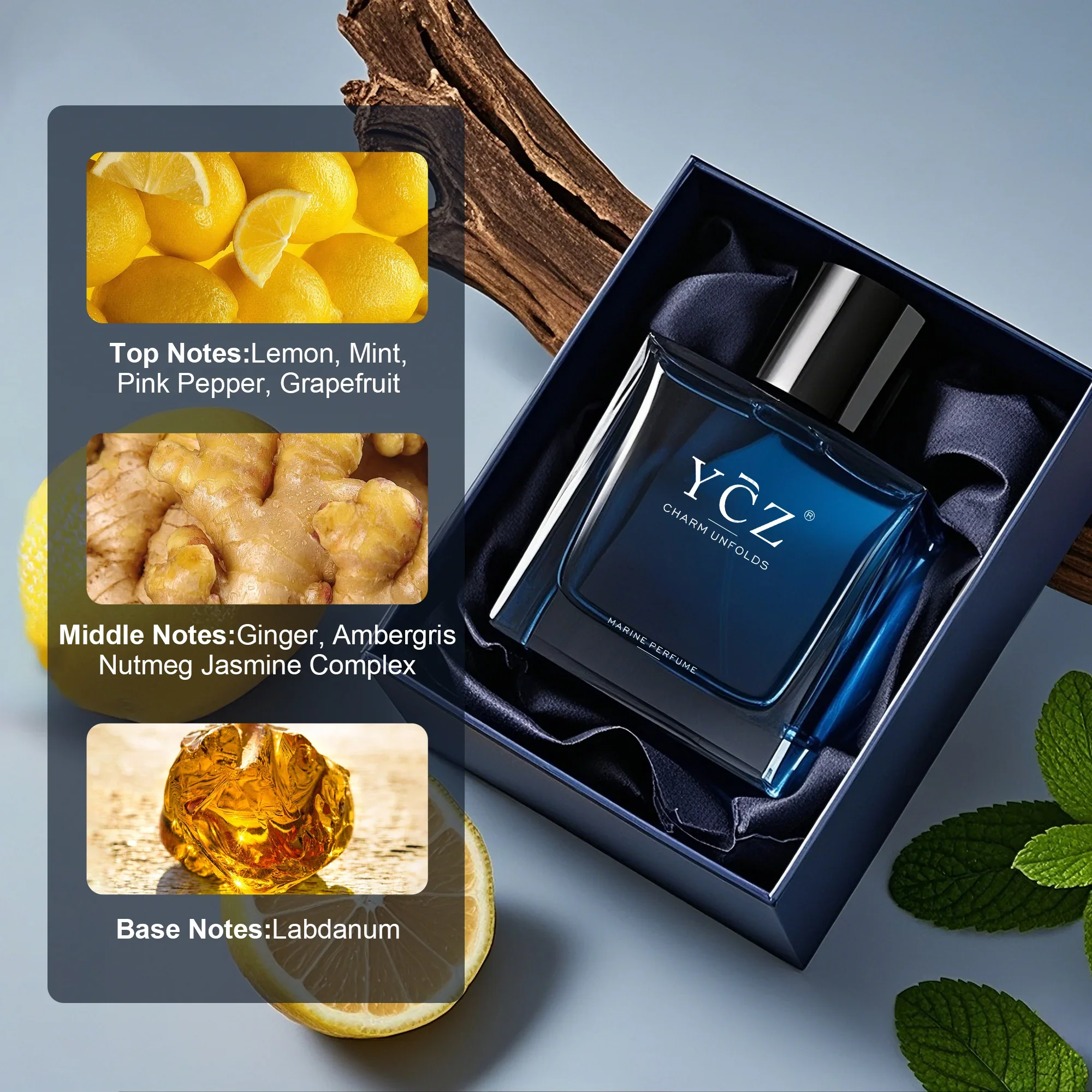 YCZ Midnight Marine Eau De Parfum – 3 Bottles - Image 8